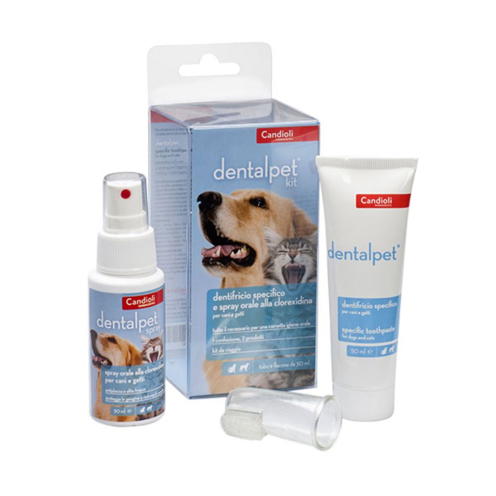 Candioli Dentalpet Kit