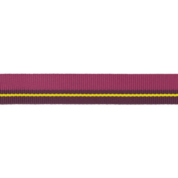 Ruffwear Povodac za pse  | Flat Out Wildflower Horizon