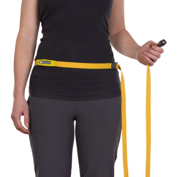 Ruffwear Povodac za pse  | Flagline Lichen Green