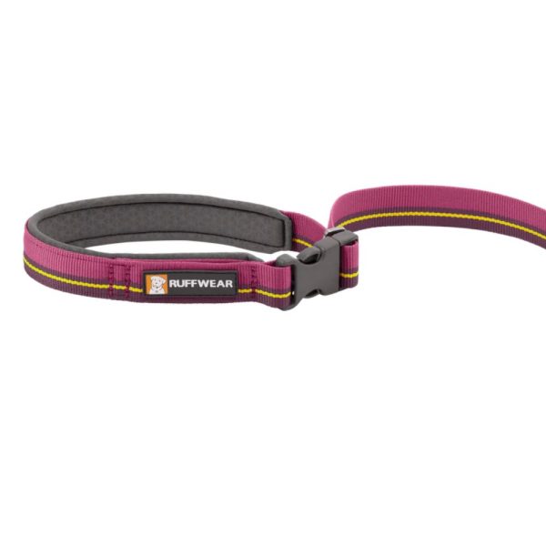 Ruffwear Povodac za pse  | Flat Out Wildflower Horizon