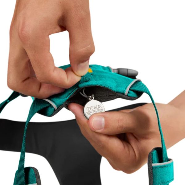 Ruffwear Orma za pse | Front Range Aurora Teal