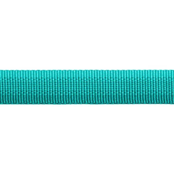 Ruffwear Povodac za pse  | Front Range Aurora Teal