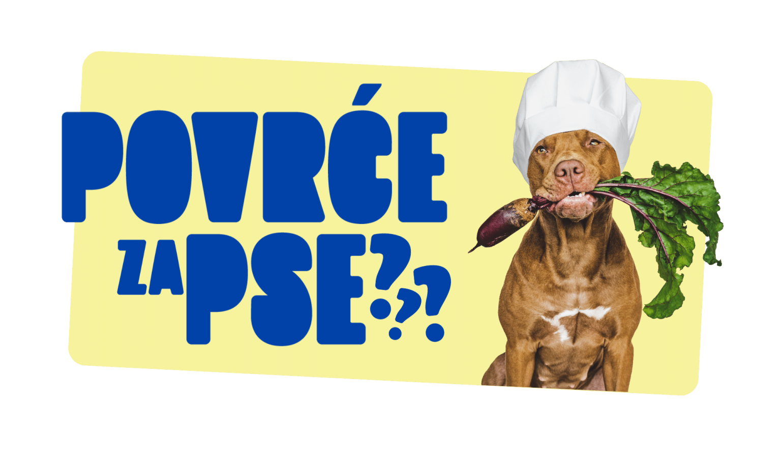 Povrce za pse