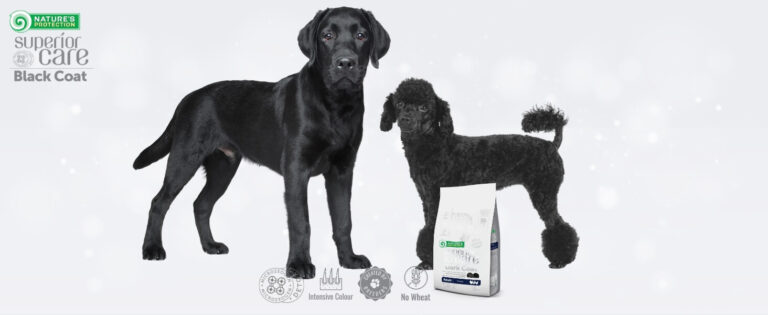 Nature's Protection crne dlake perad S/Mini 1,5kg | Super premium hrana za pse s crnim krznom
