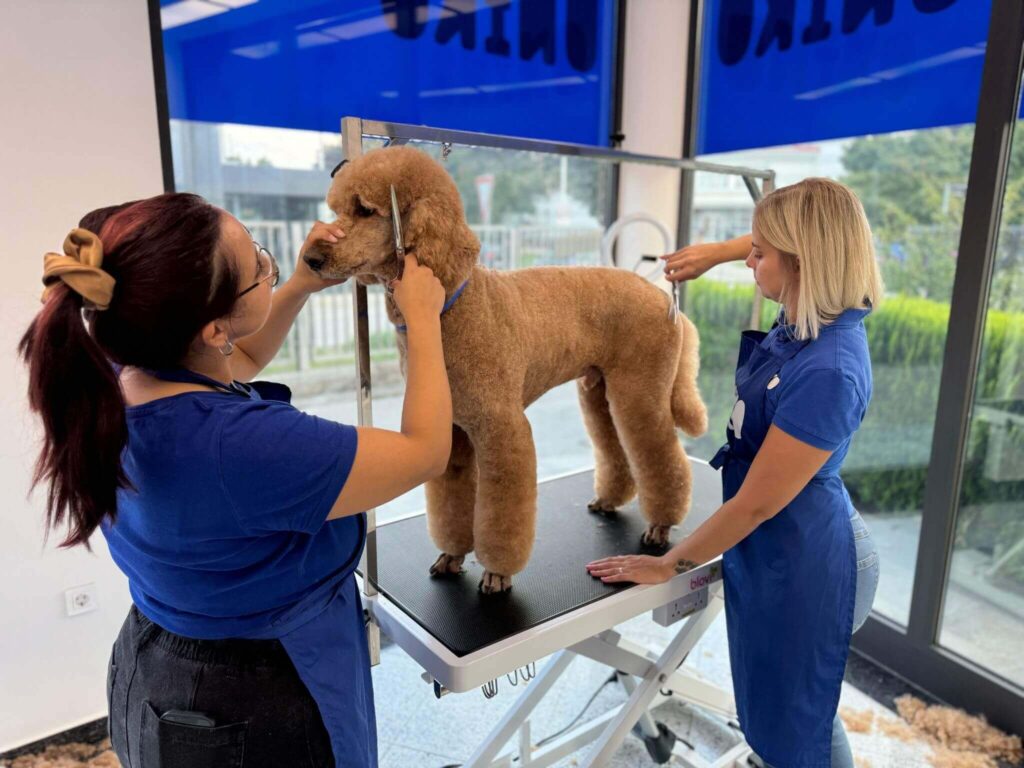 uniko grooming salon za pse šišanje pasa