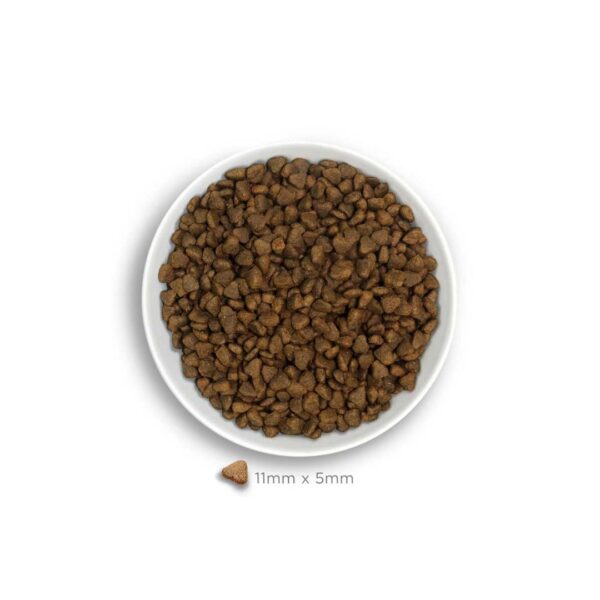Amanova Digestive Adult Mini Zec